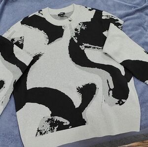 Express Sweater New with tag